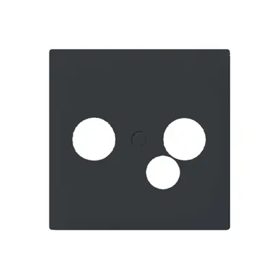 Plaque frontale SIDUS pour boîte TV-R-données anthracite 