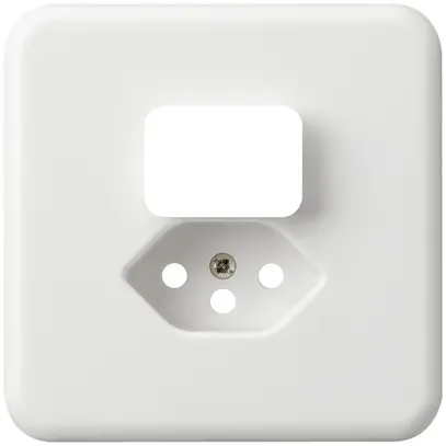 Plaque de recouvrement grd.I basico blanc pour petite combinaison type 13 