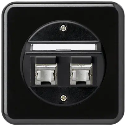 Insert pour prise ENC basico C cat.6 2×RJ45/s sortie oblique noir 
