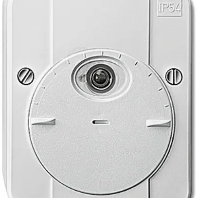 Interrupteur crépusculaire Argus gris clair 