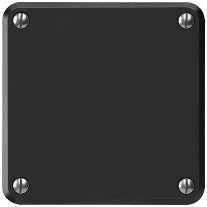 UP-Blindabdeckung robusto IP55 schwarz mit Montageplatte 