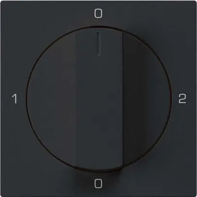 Intérieur pour interrupteur rotatif kallysto 2/1L noir avec manette 