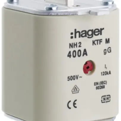 Fusible HPC Hager DIN2 500VAC 315A gG/gL avertisseur double antirouille 