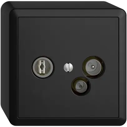 Prise de données AP TV-R DD11 5…65MHz EDIZIOdue noir 