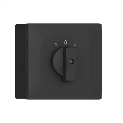 Pulsante rotativo AP SIDUS A 2C antracite 