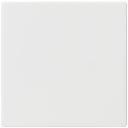 Bouton grand kallysto blanc simple pour interrupteur S3/6+contact 