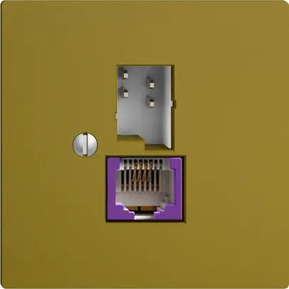 Presa T+T 6P/1×RJ45 DSL-a banda larga EDIZIOdue olive 