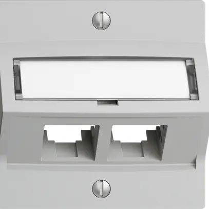 Kit di montaggio S-One EDIZIOdue F per 2×RJ45 obliquo, grigio chiaro 