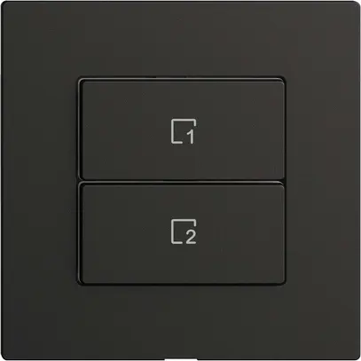 Poussoir scène 2 scènes vertical/2T WLAN Edue Wiser noir 