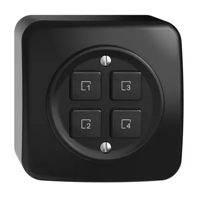 AP-Szenentaster 4 Szenen/4T WLAN Sdue Wiser schwarz 