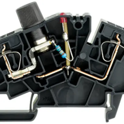 Borne fusible Weidmüller ZSI 2.5-2/2X2AN/G20/LD4 connexion à ressort TS35 noir 