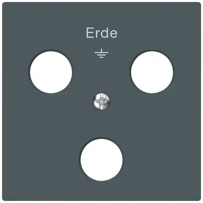 Plaque frontale Hager kallysto pour prise de terre à 3 fiches Woertz anthracite 