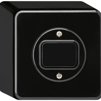 Interruttore temp.AP babyswitch basico nero, 20…300VA 