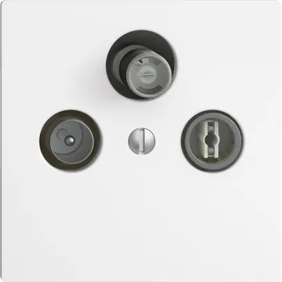 Presa antenna SAT/TV/R DB53 EDIZIOdue bianco con SAT-F 