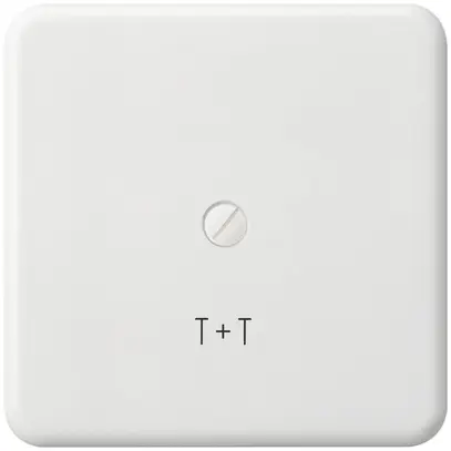 Placca di copertura basico grd.III mat.sint. bianco con incisione T+T 