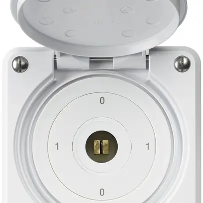 Interruttore a chiave quadrata INC robusto IP55 con coperchio S0/1P bianco 