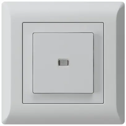 UP-Leuchttaster kallysto.line ARK 2L hellgrau 