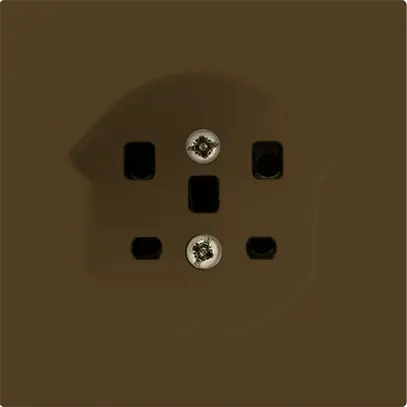 Presa kallysto T25 marrone morsetti a vite 