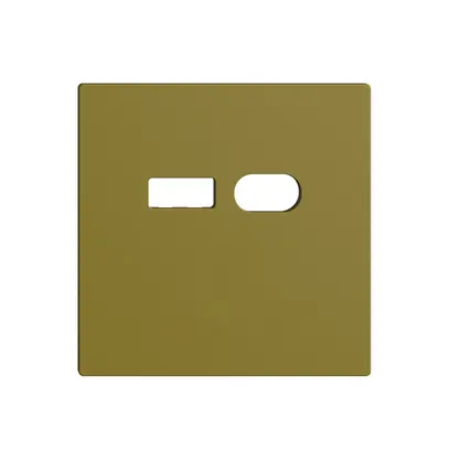 Kit de montage Feller EDIZIOdue pour prise USB 18W type A + type C olive 