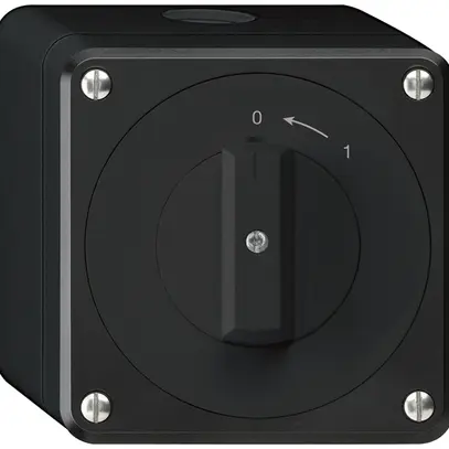 Contatto rotativo AP robusto IP55 nero 2P 