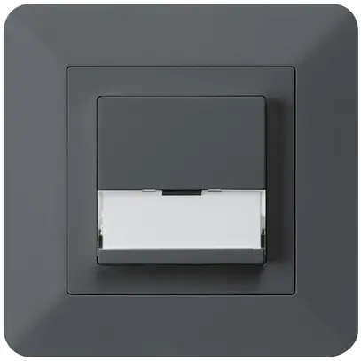 Tasto di suoneria INC A/1L kallysto.trend antracite con porta-etichetta 37×15mm 