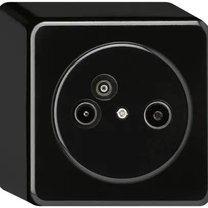 Presa d'antenna AP TV-R-Dati basico 2GHz 4dB nero 