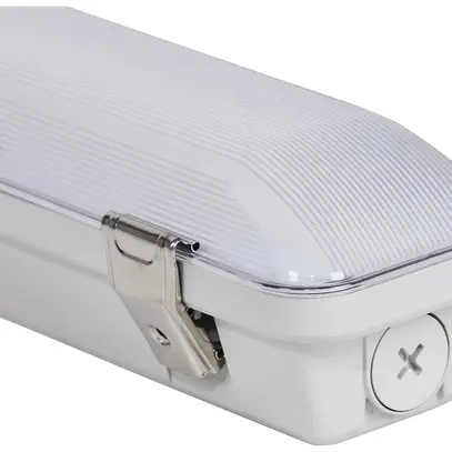 Lampada per locali umidi LED DOTLUX MISTRAL 57W 7970lm 840 IP65 1540×100 grigio 