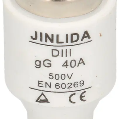Fusible D MAX HAURI DT-III 40A noir 500V retardé 50 KA gG Ø26×48mm 5 pièces 