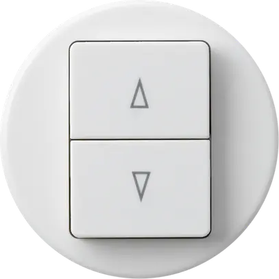 Pulsante per tapparella basico bianco con 2 tasti di comando 