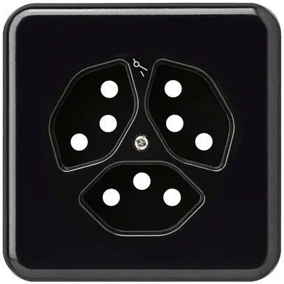 Placca di copertura grd.I 3×tipo 13/1 nero basico 