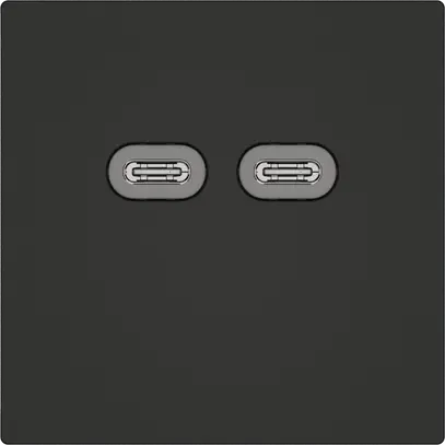 Presa di ricarica USB EDIZIO.liv SNAPFIX® 230VAC 18W 2×USB C ne 