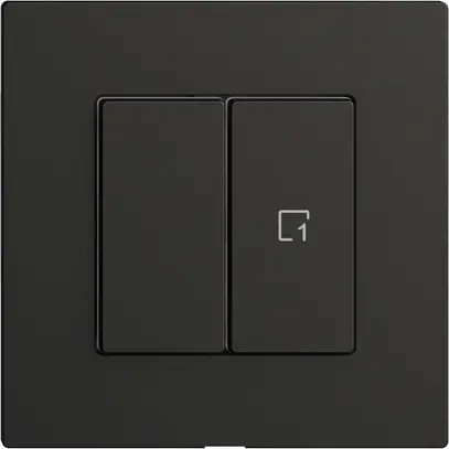 Interrupteur 1K/2T scène Edue Wiser noir 