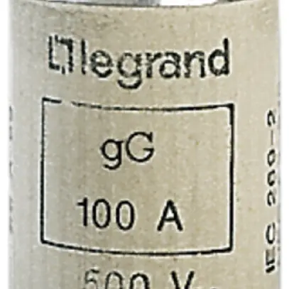 Fusibile per apparecchi Legrand cilindrico 22×58/63A GG 