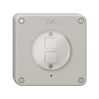 Poussoir KNX NUP 2× NEVO RGB avec sonde de température, gris clair 