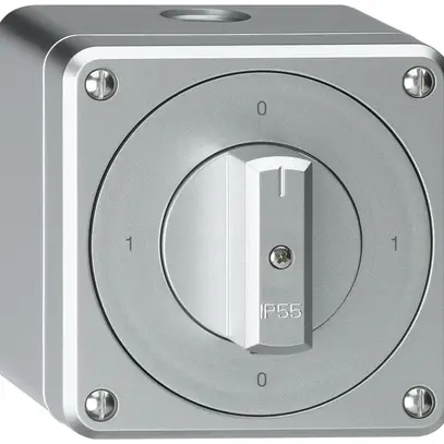 AP-Drehschalter robusto IP55 Schema 0/1P aluminium 