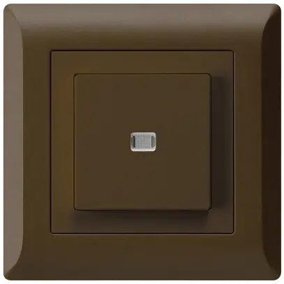 Contact à poussoir lumineux ENC kallysto.line AR/1P brun 