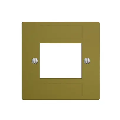 Plaque frontale 4×RJ45 ITplus EDIZIOdue olive 