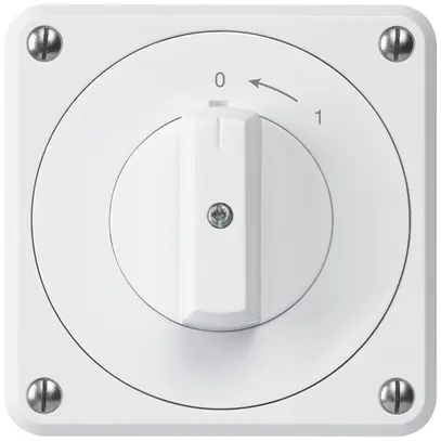 UP-Schwenktaster robusto IP55 weiss 1P 