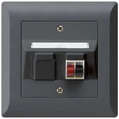 Prise ENC audio kallysto.line 1×anthracite borne à étrier pour 1 haut-parleur 