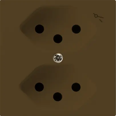 Prise ENC kallysto 2×T13 brun commuté 1× 