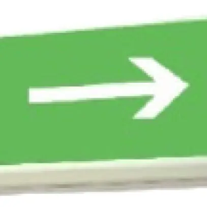 Luminaire de secours CFE 8 SE, 1h, mode en veille 