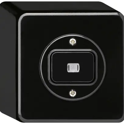 AP-Leuchtdrucktaster basico L-AR/1L schwarz 