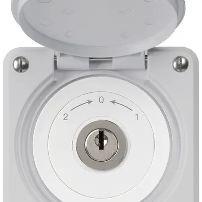 UP-Schlüsselschwenktaster robusto IP55 grau mit Deckel Wechsler 