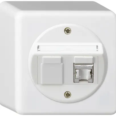 Scatola di raccordo AP basico cat.6 1RJ45/s bianco 