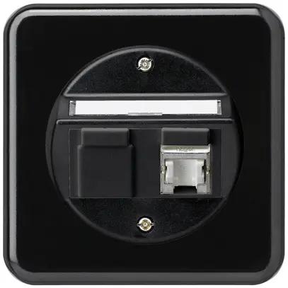 Insert pour prise ENC basico C cat.6 1×RJ45/s sortie oblique noir 