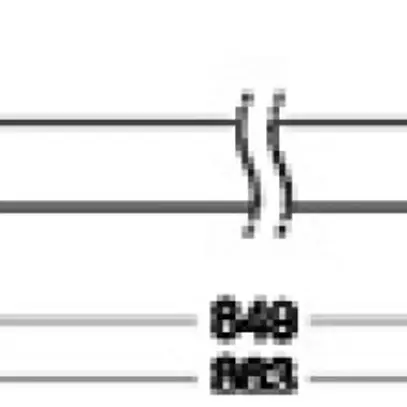 Tubo LED LEDVANCE SubstiTUBE AC HE21 G5 10W 1500lm 6500K 849mm 