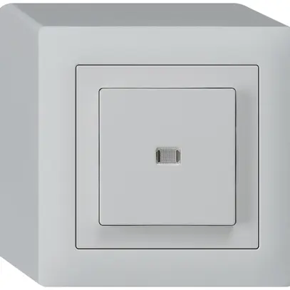 AP-Leuchtdruckschalter kallysto 3/1L hellgrau 