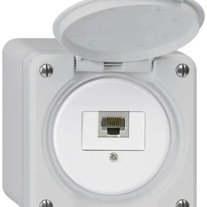 Scatola di raccordo AP robusto IP55 grigio 1×RJ45/s 