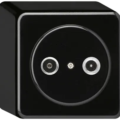 Presa d'antenna AP basico TV-R 19dB 2GHz nero 