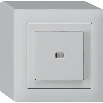 Interrupteur poussoir lumineux AP kallysto 3/2L gris clair 